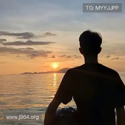 明锦柳